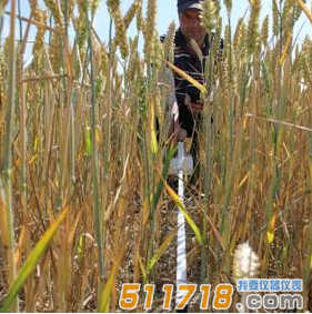 英國Delta-T Devices  SunScan專業版植物冠層分析儀