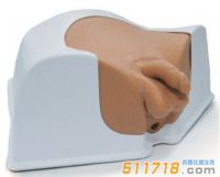 美國(guó)CIRS 048A男性骨盆模體