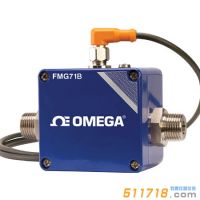 美國OMEGA FMG70B低流量電磁流量計(jì)