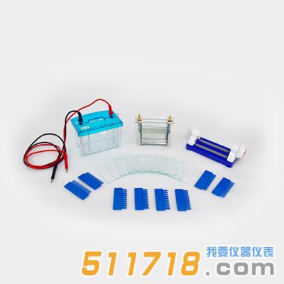 北京六一 DYCZ-24DH型雙板垂直電泳儀