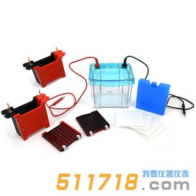 北京六一 DYCZ-40S 型四板轉印電泳儀