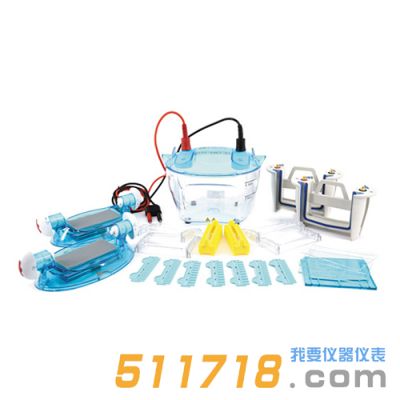 北京六一 DYCZ-24KF四板垂直電泳儀