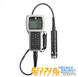 美國YSI 556MPS型多參數(shù)水質(zhì)測量儀 美國YSI 556MPS型多參數(shù)水質(zhì)測量儀