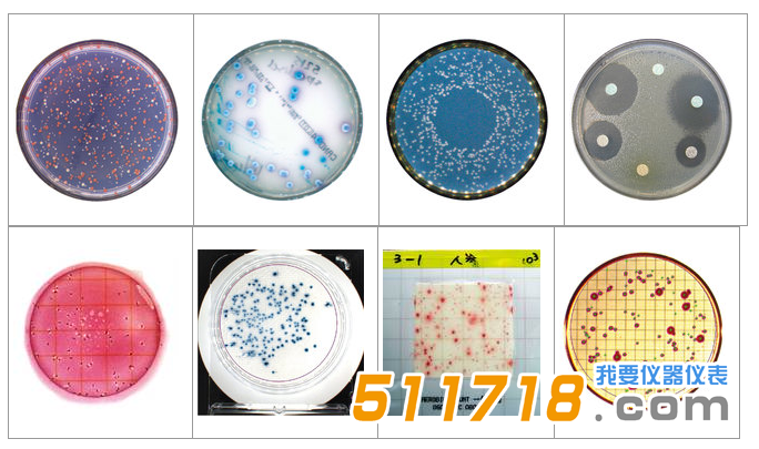 1534146096341502.png 法國interscience Scan 1200自動菌落計數器1.png