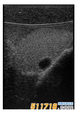 美國CIRS 074甲狀腺超聲訓練模體1.png