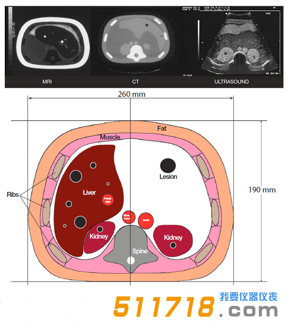 美國CIRS 057A三維腹部模體1.png