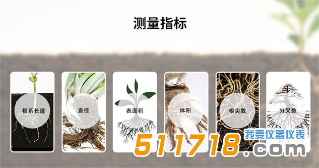 GXY-A植物根系分析儀技術參數;  1、整體參數：  (1)根尖數：總根尖數量，等于終止連接點的數量  范圍：0-1,000  精度：誤差<5%  (2)根系長度：總的根系長度，包括主根和各級次根  范圍：0-10,000 mm  精度：誤差<3.65%  (3)平均直徑：根系的平均直徑  范圍：0-20 mm  精度：誤差<0.04%  (4)投影面積：根系整體的投影面積  范圍：0-200,000 mm2  精度：誤差<4.02%  (5)表面積：整體的表面積  范圍：0-1,000,000 mm2  精度：誤差<3.75%  (6)體積：整體體積  范圍：0-2,000,000,000 mm3  精度：誤差<3.82%  2、拓撲分析參數(需要相對完整根系)：  (1)數量：各級根的數量總和  范圍：0-1,00  (2)連接數：各級側根上的連接數總和  范圍：0-100  (3)長度：各級側根的長度總和  范圍：0-10,000 mm  (4)直徑：各級側根的平均直徑  范圍：0-20 mm  (5)表面積：各級側根的表面積總和  范圍：0-1,000,000 mm2  (6)體積：各級側根的體積總和  范圍：0-2,000,000,000 mm3  (7)投影面積：各級側根的投影面積總和  范圍：0-200,000 mm2。  .jpg